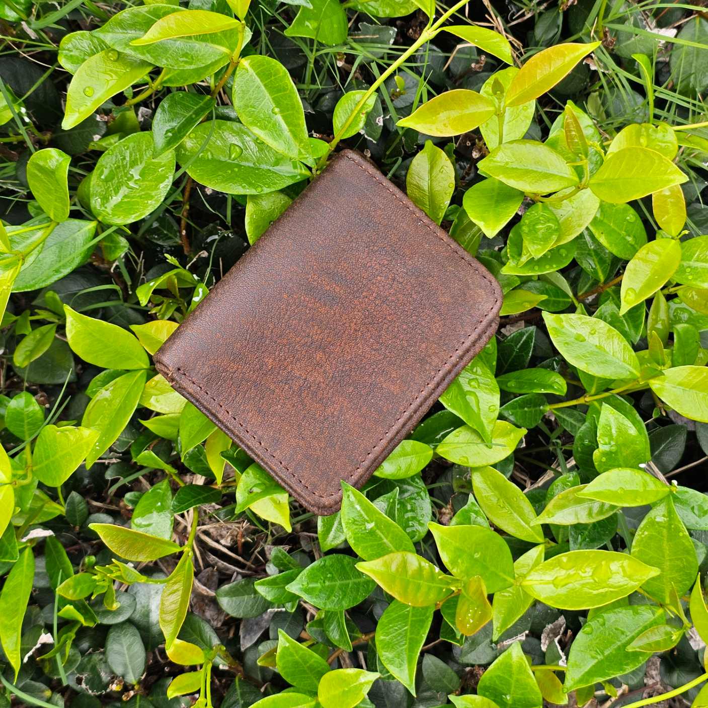 Antique-Brown