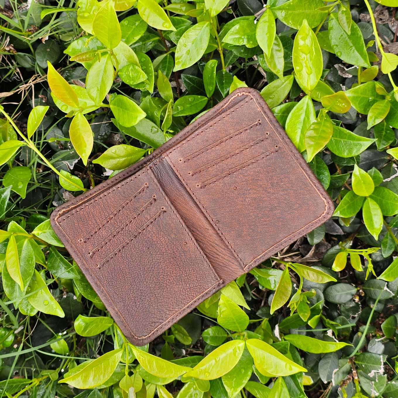 Antique-Brown