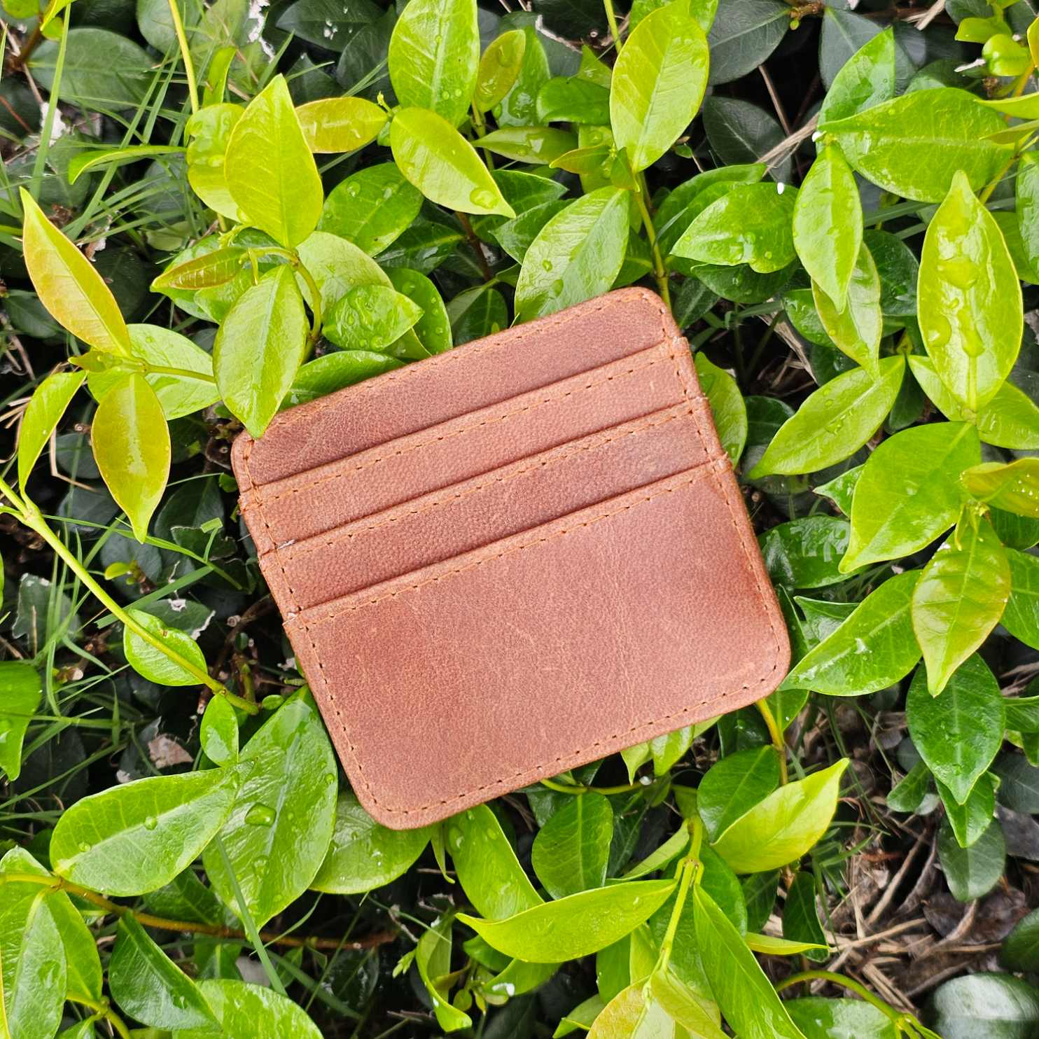 Rustic Darktan