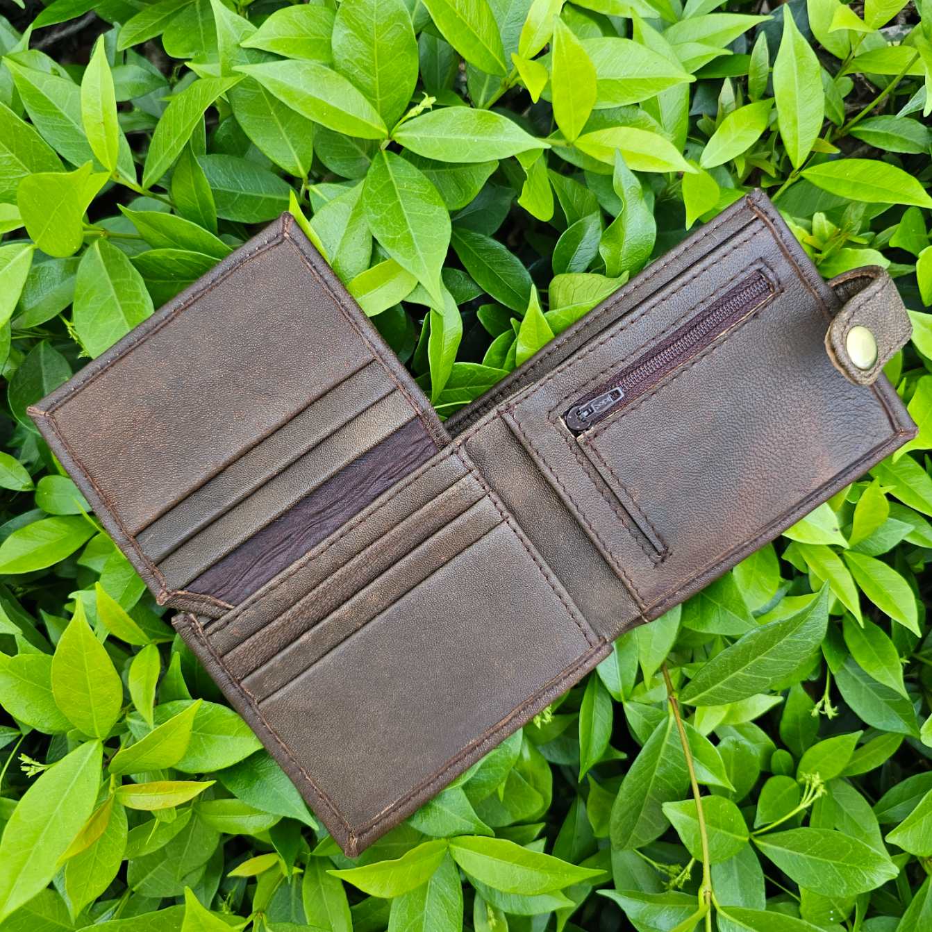 Antique-brown