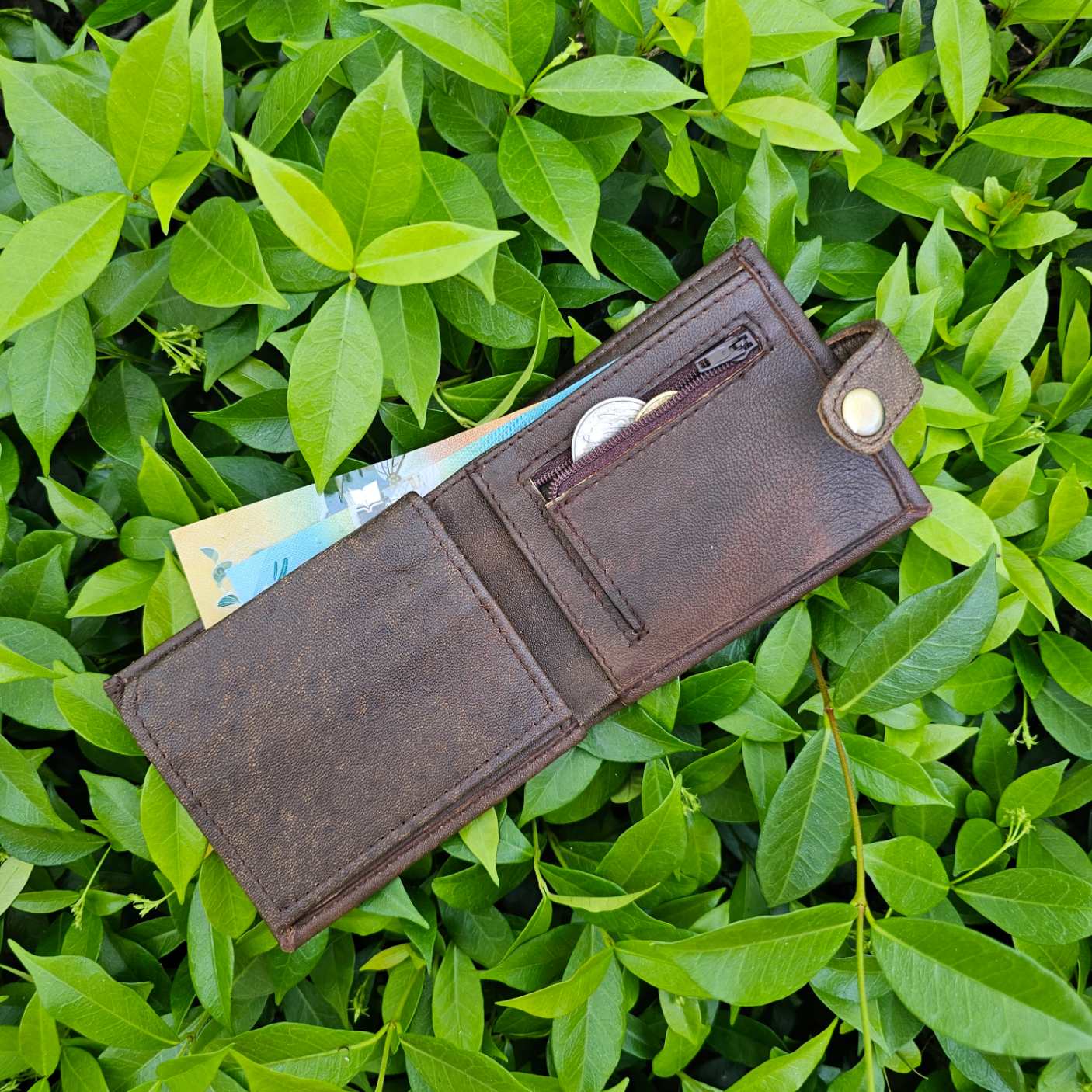Antique-brown