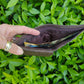 Toby Wallet